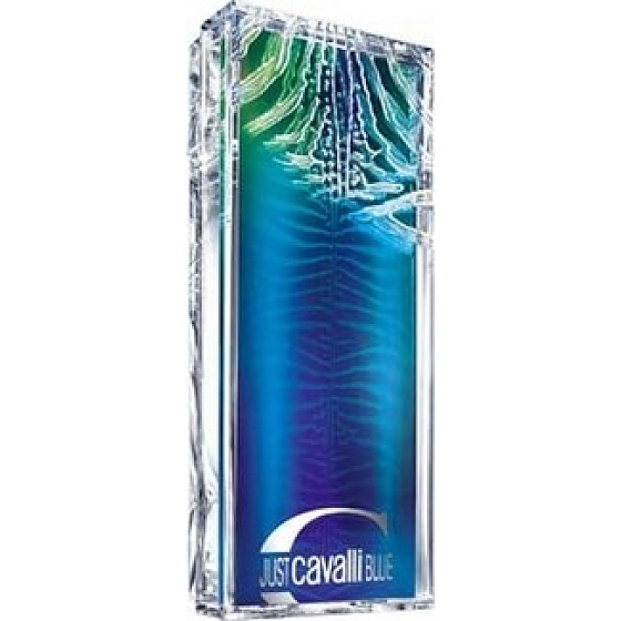 Roberto Cavalli Just Cavalli Blue toaletní voda pro muže 60 ml