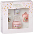 Yankee Candle Everyday Cherry Blossom - Třešňový květ vonná svíčka Classic malá sklo 104 g + Soft Blanket - Jemná přikrývka + Sweet Nothings - Sladké nic + Sun Drenched Apricot Rose - Vyšisovaná meruňková růže votivní svíčka 3 x 49 g, dárková sada
