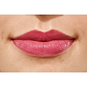 Catrice Lip Dresser Shine Stylo rtěnka 060 Surf and Turf in Grapetown 1,4 g