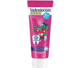 Vademecum Junior Jahoda zubní pasta pro děti od 6 let 75 ml