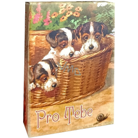 Soaptree Pro Tebe luxusní glycerinové mýdlo v krabičce 40 g