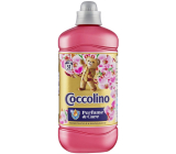 Coccolino Creations Wiciokrzew & Drzewo sandałowe koncentrowana płyn do płukania 51 dawek 1,275 l