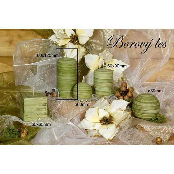 Lima Wellness Borový les aroma svíčka válec 60 x 120 mm 1 kus