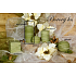 Lima Wellness Borový les aroma svíčka válec 60 x 120 mm 1 kus