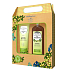 Biotter GlySkinCare Makadamový olej šampon pro suché a poškozené vlasy 250 ml + sprchový gel 250 ml, kosmetická sada