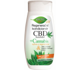 Bione Cosmetics CBD Kanabidiol regeneracyjny odżywka do wszystkich typów włosów 260 ml