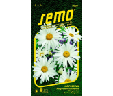 Semo Kopretina bílá Shasta Daisy 0,8 g