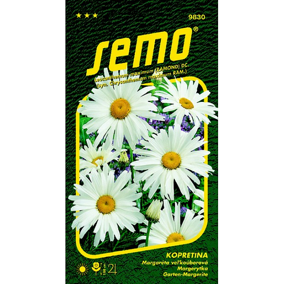 Semo Kopretina bílá Shasta Daisy 0,8 g
