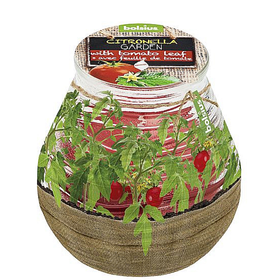 Bolsius Aromatic Citronela repelentní ve skle desing Bylinky cherry rajčátka vonná svíčka 90 x 94 mm