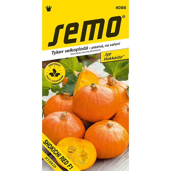 Semo Tykev obrovská plazivá Shokichi Red F1 Hokkaido 0,3 - 1 kg 5 semen