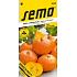 Semo Tykev obrovská plazivá Shokichi Red F1 Hokkaido 0,3 - 1 kg 5 semen