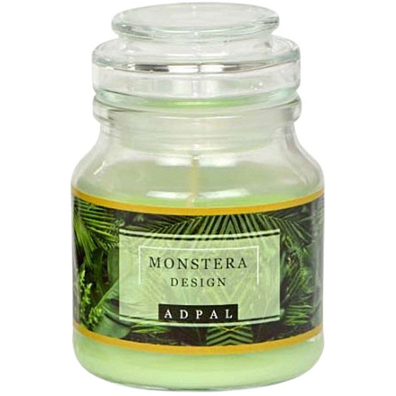 Adpal Monstera Design vonná svíčka sklo se skleněným víčkem 70 x 100 mm