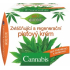 Bione Cosmetics Cannabis nawilżający i regenerujący krem do twarzy 51 ml