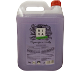 Riva płynne mydło antybakteryjne, 5 kg