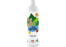 Real Green Clean čistič podlah, 1 kg