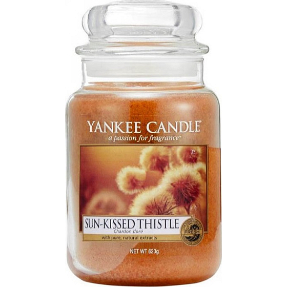 Yankee Candle Sun Kissed Thistle - Dokonalá podzimní vůně vonná svíčka Classic velká sklo 623 g