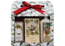 Bohemia Gifts Wesołe Świąta Bożnarodzeniowy ży żęl pod prysznic 2 x 100 ml + jabłko i cynamon zapachowa karta 11 x 6,3 cm, zestaw kosmetyczny