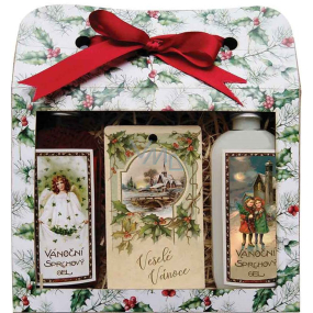 Bohemia Gifts Wesołe Świąta Bożnarodzeniowy ży żęl pod prysznic 2 x 100 ml + jabłko i cynamon zapachowa karta 11 x 6,3 cm, zestaw kosmetyczny