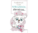 Nekupto Prezent na urodziny Zostań COOL piesek 116 x 220 mm 3493 K