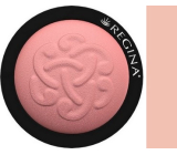 Regina Mineralna puder odstín 01 3,5 g
