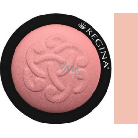 Regina Mineralna puder odstín 01 3,5 g