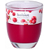 Bolsius Aromatic Wild Cranberry - Divoká Brusinka vonná svíčka ve skle 70 x 80 mm 290 g, doba hoření 35 hodin
