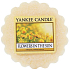Yankee Candle Flowers in The Sun - Květiny na slunci vonný vosk do aromalampy 22 g