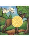 Bohemia Gifts Dekorační obraz na zavěšení Terč srnec 30 x 30 cm