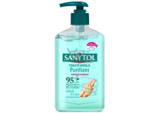 Sanytol Purifiant dezynfekujący żel do rąk 250 ml z dozownikiem