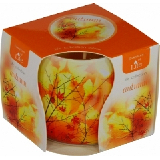 Essences of Life Podzim aromatická svíčka ve skle 100 g