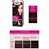Schwarzkopf Palette Perfect Color Care barva na vlasy 711 Sytě fialový