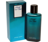 Davidoff Cool Water Men woda po goleniu 75 ml