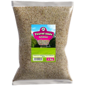 Biom Trawnik Sportowy 500 g