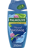 Palmolive żel pod prysznic Wellness Massage, 250 ml