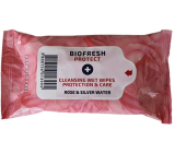 BioFresh Diamond Rose Protect chusteczki antybakteryjne 15 sztuk