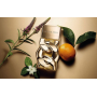 Michael Kors Pour Femme woda perfumowana dla kobiet 100 ml
