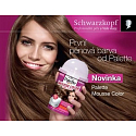 Schwarzkopf Palette Mousse Color Shake and color barva na vlasy 300 Tmavě hnědý