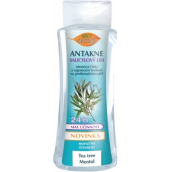 Bione Cosmetics Antakne Salicylowy ląd z Tea tree i mentolem 260 ml