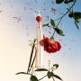 Kenzo Flower by Kenzo L'Absolue woda perfumowana dla kobiet 50 ml