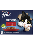 Felix Fantastic saszetki dla kotów z kurczakiem, wołowiną, królikiem i jagnięciną, 12 × 85 g