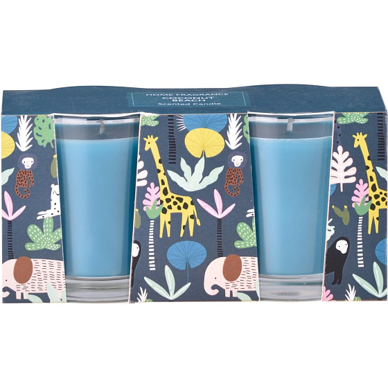 Emocio Coconut Beach - Kokosová pláž vonná svíčka sklo 50 x 62 mm 2 kusy v krabičce