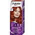 Schwarzkopf Palette Intensive Color Creme, farba do włosów, RV6 szkarłatna czerwień, 50 ml