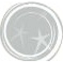 Essence Nail Art Cracking krycí lak s efektem rozpraskaného laku 04 Silver 8 ml