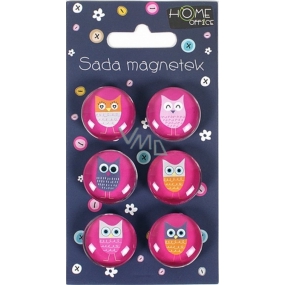 Albi Sada magnetů Růžové sovy 2,3 cm 6 kusů