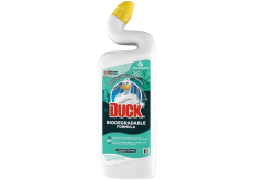 Duck ECO Coastal Forest Wc płynny środek czyszczący z leśnym zapachem 750 ml