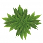 Bione Cosmetics Cannabis mleko do ciała 500 ml