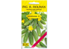 Holman F1 Bohdana ogórki konserwowe 2 g