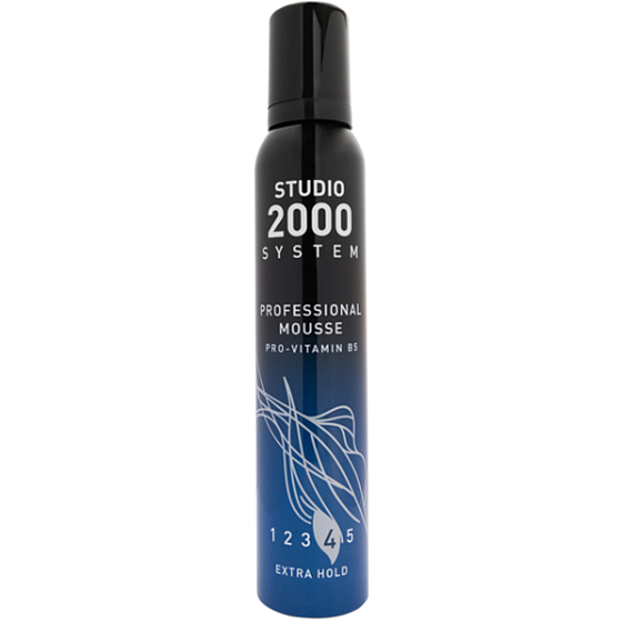 Studio Professional Mousse utrwalacz do włosów, B5 prowitamina 225 ml