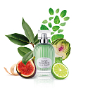 Laura Biagiotti Aqve Romane Divinum Ficus woda toaletowa dla kobiet 100 ml