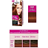 Schwarzkopf Palette Perfect Color Care barva na vlasy 644 Tmavá skořice